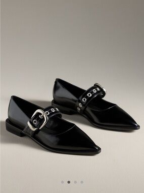 Maeve Pointed-Toe Moto Mary Jane Flats-black leather